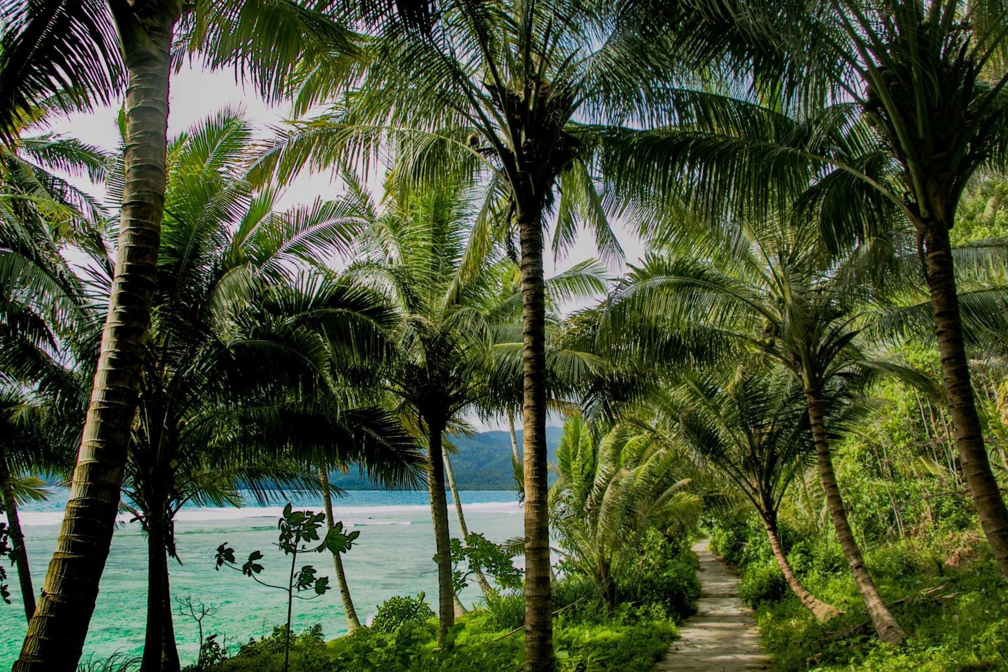 Sumatra Surf Resort Biha Dış mekan fotoğraf