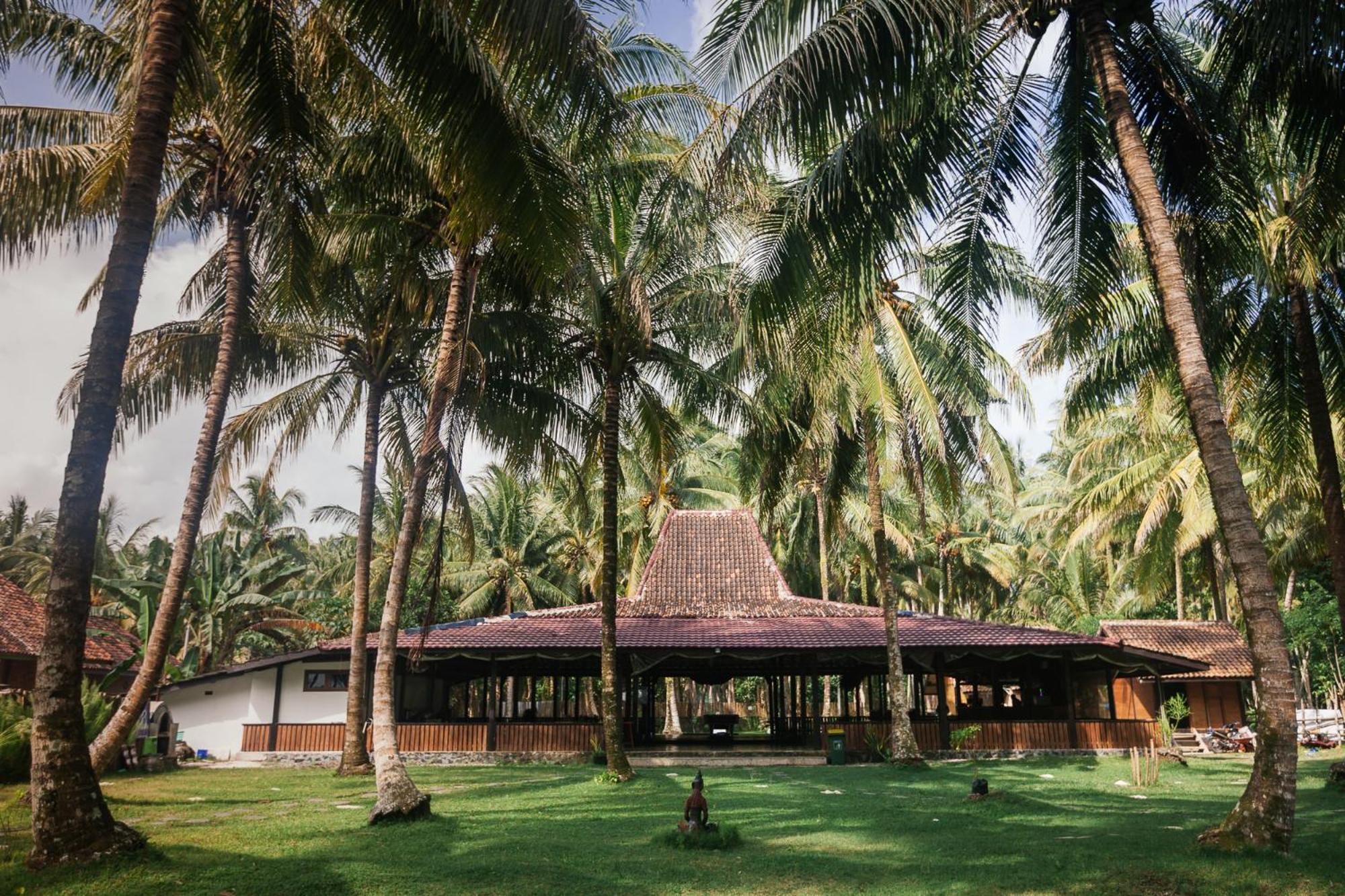 Sumatra Surf Resort Biha Dış mekan fotoğraf