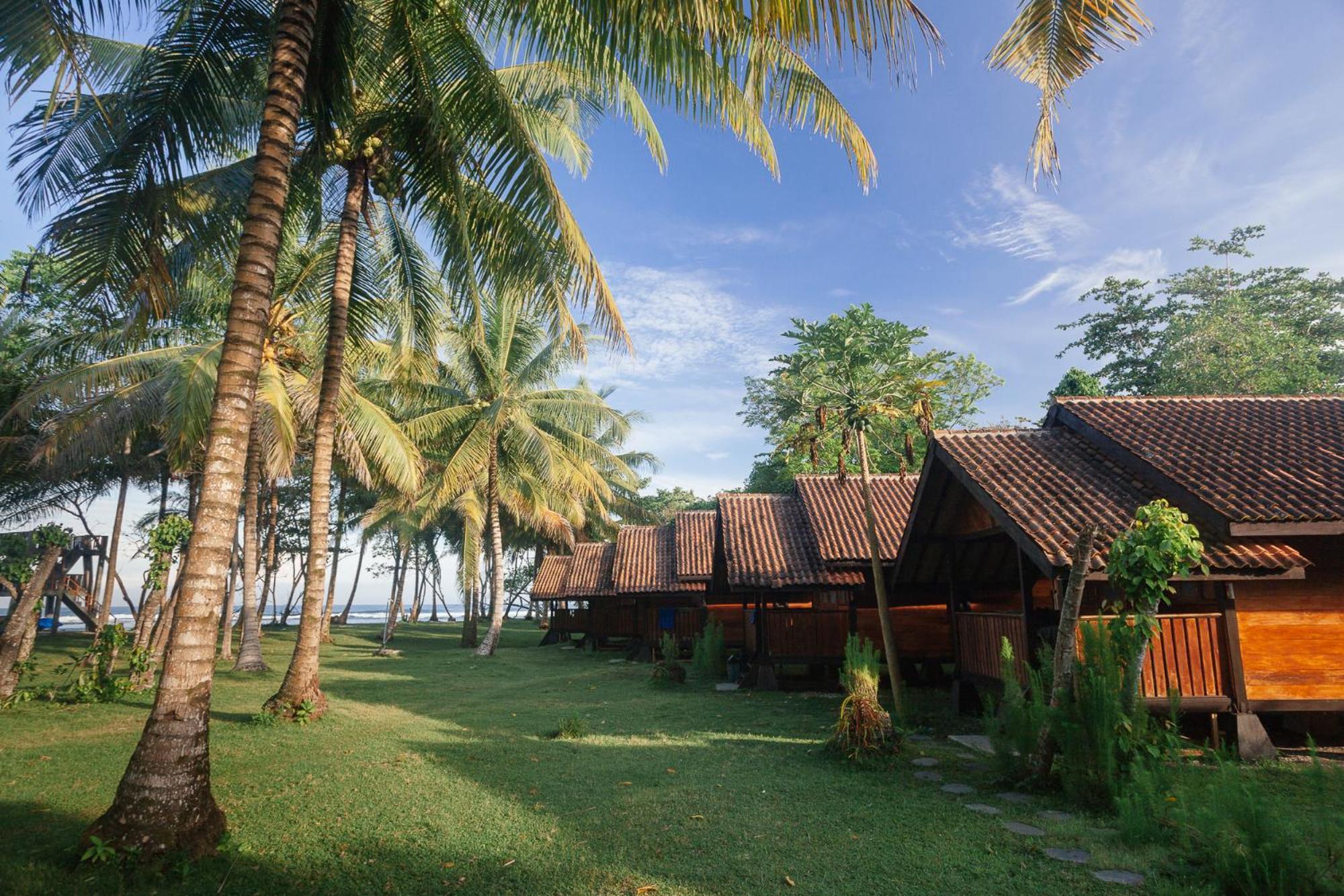 Sumatra Surf Resort Biha Dış mekan fotoğraf