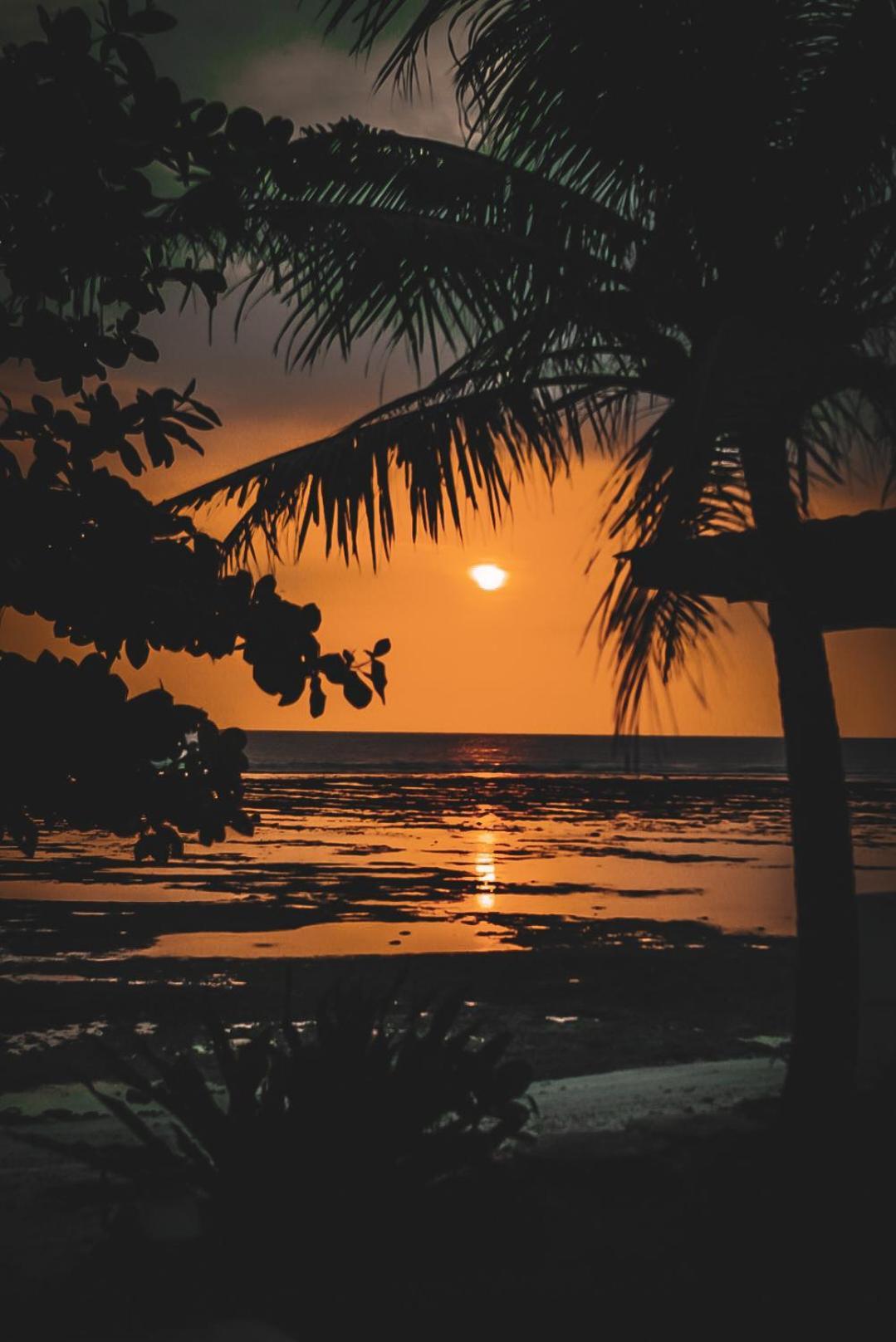 Sumatra Surf Resort Biha Dış mekan fotoğraf